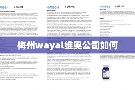 梅州wayal维奥公司如何