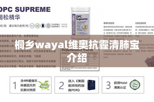 桐乡wayal维奥抗霾清肺宝介绍第1张-Wayal唯奥公司