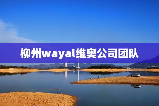 柳州wayal维奥公司团队第1张-Wayal唯奥公司