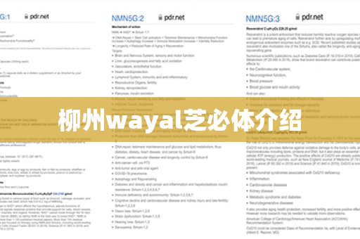 柳州wayal芝必体介绍第1张-Wayal唯奥公司