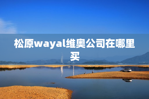 松原wayal维奥公司在哪里买