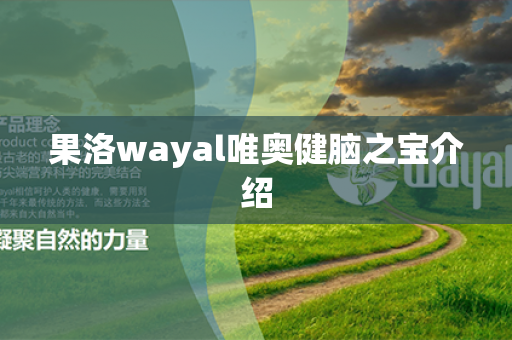 果洛wayal唯奥健脑之宝介绍第1张-Wayal唯奥公司