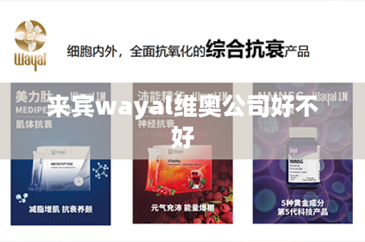 来宾wayal维奥公司好不好