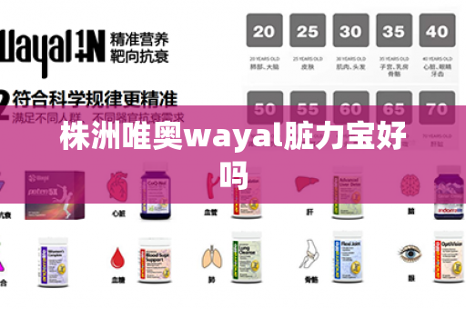 株洲唯奥wayal脏力宝好吗