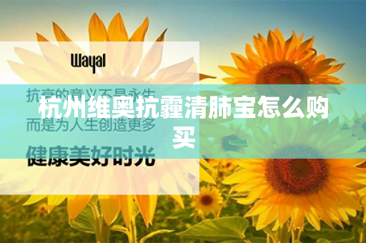 杭州维奥抗霾清肺宝怎么购买第1张-Wayal唯奥公司