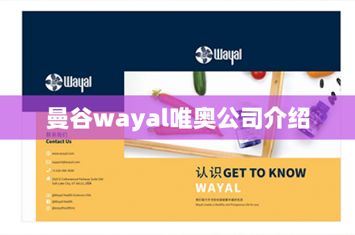 曼谷wayal唯奥公司介绍第1张-Wayal唯奥公司