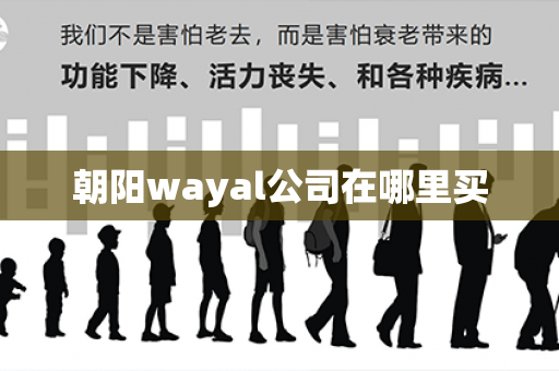 朝阳wayal公司在哪里买