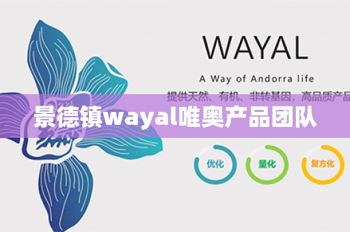 景德镇wayal唯奥产品团队第1张-Wayal唯奥公司