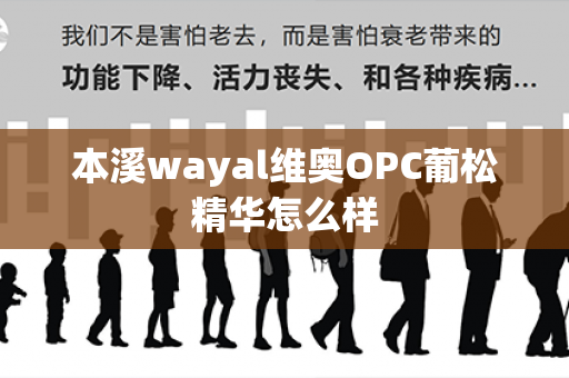 本溪wayal维奥OPC葡松精华怎么样第1张-Wayal唯奥公司