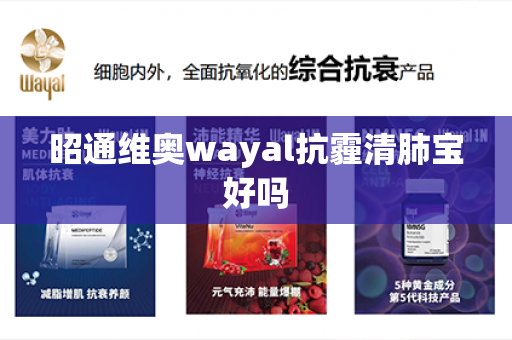 昭通维奥wayal抗霾清肺宝好吗第1张-Wayal唯奥公司