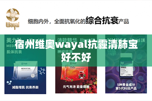 宿州维奥wayal抗霾清肺宝好不好