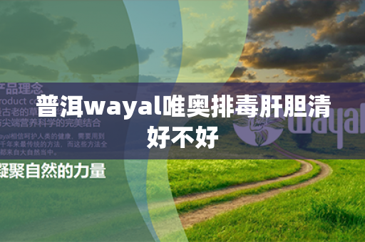 普洱wayal唯奥排毒肝胆清好不好第1张-Wayal唯奥公司