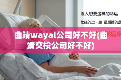 曲靖wayal公司好不好(曲靖交投公司好不好)