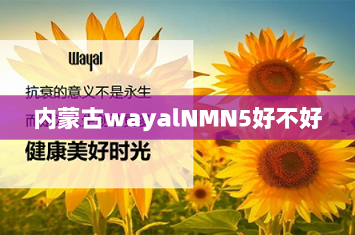 内蒙古wayalNMN5好不好