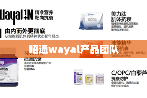 昭通wayal产品团队