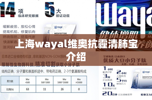 上海wayal维奥抗霾清肺宝介绍