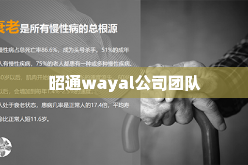 昭通wayal公司团队第1张-Wayal唯奥公司