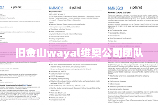 旧金山wayal维奥公司团队