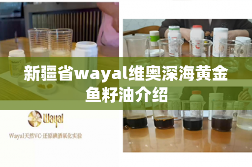 新疆省wayal维奥深海黄金鱼籽油介绍