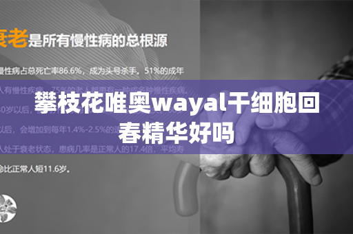 攀枝花唯奥wayal干细胞回春精华好吗第1张-Wayal唯奥公司