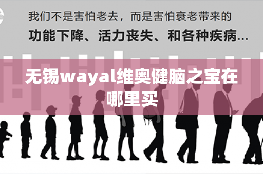 无锡wayal维奥健脑之宝在哪里买