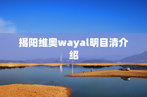 揭阳维奥wayal明目清介绍第1张-Wayal唯奥公司