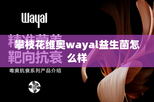 攀枝花维奥wayal益生菌怎么样第1张-Wayal唯奥公司