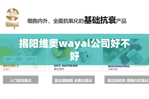 揭阳维奥wayal公司好不好第1张-Wayal唯奥公司