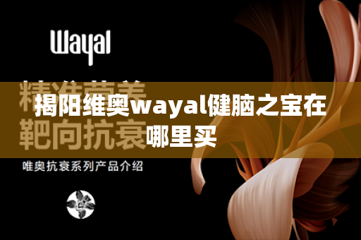 揭阳维奥wayal健脑之宝在哪里买