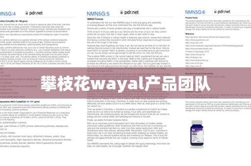 攀枝花wayal产品团队第1张-Wayal唯奥公司