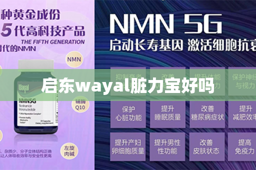 启东wayal脏力宝好吗