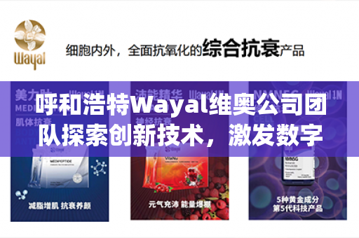 呼和浩特Wayal维奥公司团队探索创新技术，激发数字化转型新动能