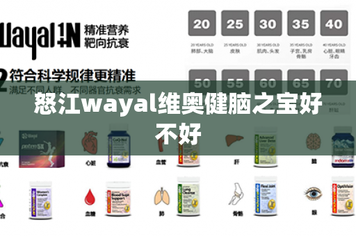 怒江wayal维奥健脑之宝好不好第1张-Wayal唯奥公司