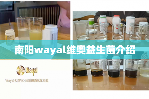 南阳wayal维奥益生菌介绍