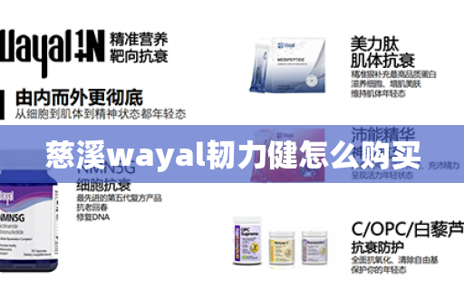 慈溪wayal韧力健怎么购买第1张-Wayal唯奥公司