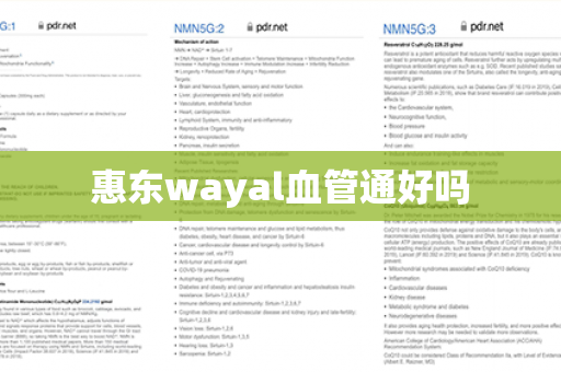 惠东wayal血管通好吗第1张-Wayal唯奥公司