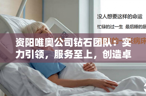 资阳唯奥公司钻石团队：实力引领，服务至上，创造卓越价值！