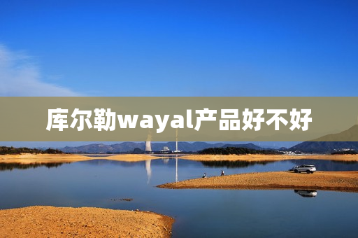 库尔勒wayal产品好不好