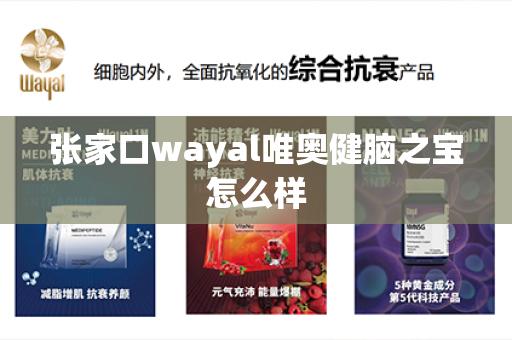 张家口wayal唯奥健脑之宝怎么样