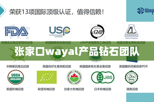 张家口wayal产品钻石团队