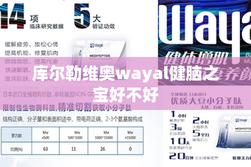 库尔勒维奥wayal健脑之宝好不好