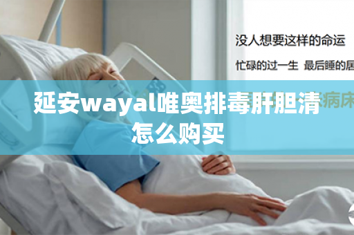 延安wayal唯奥排毒肝胆清怎么购买