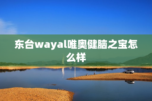 东台wayal唯奥健脑之宝怎么样