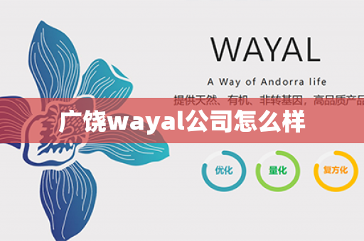 广饶wayal公司怎么样