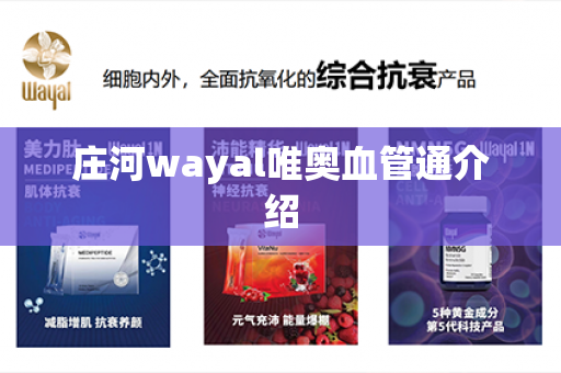 庄河wayal唯奥血管通介绍