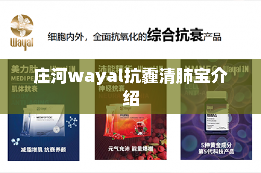 庄河wayal抗霾清肺宝介绍第1张-Wayal唯奥公司