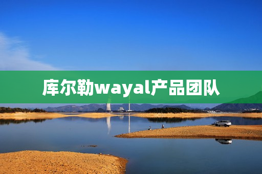 库尔勒wayal产品团队