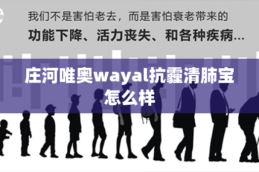 庄河唯奥wayal抗霾清肺宝怎么样