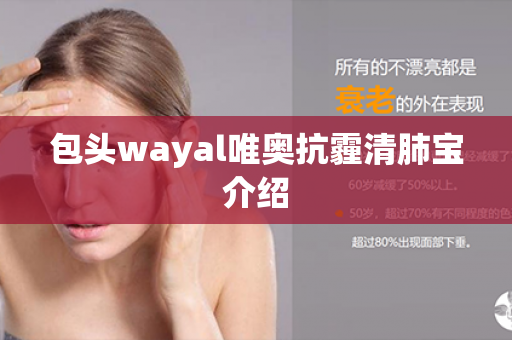 包头wayal唯奥抗霾清肺宝介绍