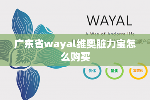 广东省wayal维奥脏力宝怎么购买第1张-Wayal唯奥公司